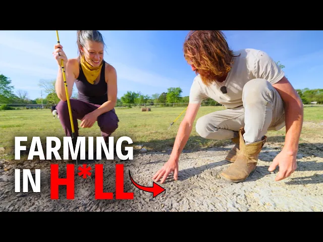 Video: This Homesteading Family of 7 Grows Food on IMPOSSIBLE Land!