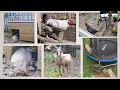 Understanding Code Enforcement in Anne Arundel County