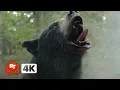 Download Lagu Cocaine Bear (2023) 4K - Cocaine Christmas | Movieclips