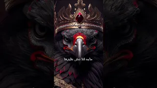 بالي طويل محدش يلوي دراعي و محدش يجبرني اعمل حاجه انا مش عايزها اقتباسات اكسبلور حكمة اليوم 