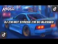 Download Lagu I'M NOT STRESS I'M SO BLESSED VIRAL TIKTOK TERBARU MENGKANE