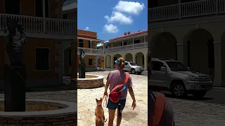 Dog life on a boat – Part 3 #dog #sailing #travel