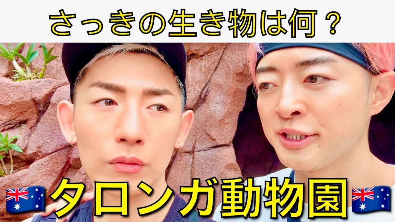 不思議な生き物を見た🇦🇺 元消防士×元警察官同性カップル👬【EP174】