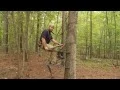 Summit Viper SD Climbing Treestand