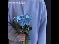 【AI 孫燕姿 × 林宥嘉】《兜圈》