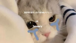 2023年流行ったTikTokメドレー 何曲踊れる 