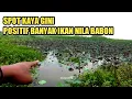 Download Lagu TERNYATA BENAR FIRASATKU❗SPOT MANCING SEPERTI INI BANYAK IKAN NILA BABONNYA