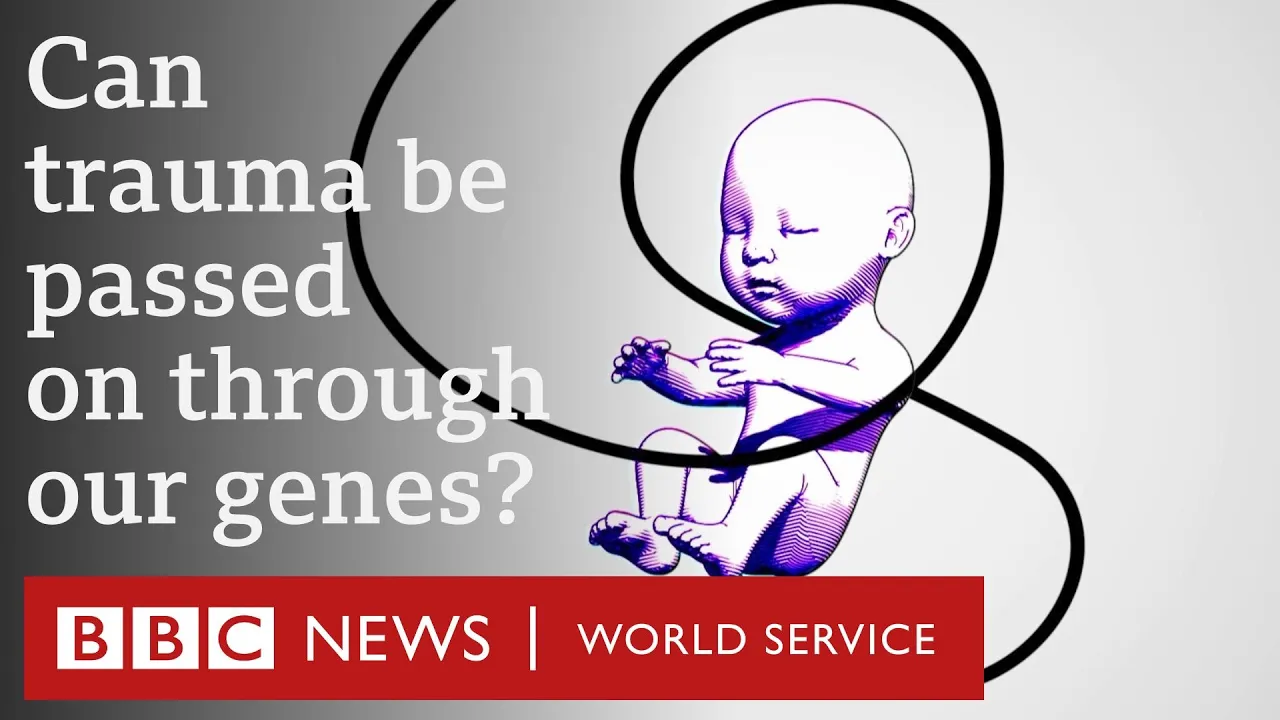 Outline Video Epigenetics: Can we change our genes? - BBC World Service