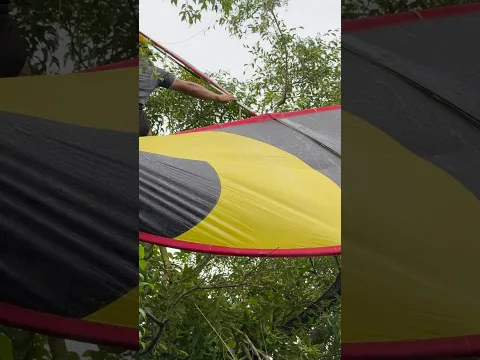 Thả diều bị mắc lên cây 2 nghệ nhân phải trèo lên để gỡ diều xuống..# #layangan #kite #patang #pipa￼