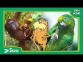 The Lorax s Animal Kingdom Adventures MEGA Marathon Lorax Nature Club Dr Seuss