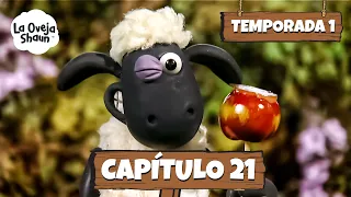 La Oveja Shaun 1. Temporada 21. Capítulo (Dibujos Animados Para Niños)