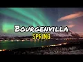 Spring - Bourgenvilla (lirik)