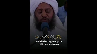 Talawat By Hassan Idrees Mohmoud Quran Talawat Islam 