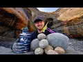 We Found a Huge Pile of Fossil Nodules in This Hidden Cove