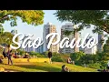 Top Things to Do in Sao Paulo Brazil Ultimate Sao Paulo Travel Guide