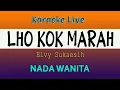 Download Lagu LHO KOK MARAH - KARAOKE ELVY SUKAESIH  ( Nada Wanita )