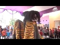 Download Lagu Barongan TSW Turonggo Sekar Wangi Keong mas#memetshooting #barongankendal