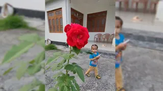 My first vlog ll #morningmotivation #view#vedumasti 