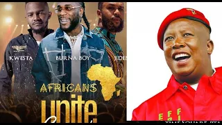 south africans react angrily to malemas tweet supporting burna boy