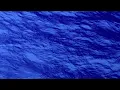 Languish - Dear Gravity