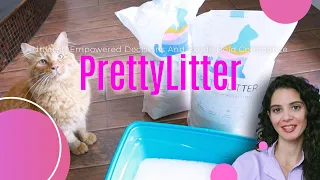 PrettyLitter Transforming the litter box