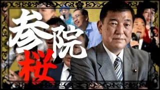 【世界史替え歌】参院桜 / 参議院選挙2025【千本桜】【覚え歌】