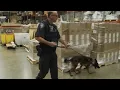 The Federal Protective Service