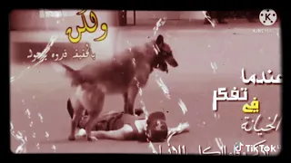 هل تعلم إن الكلب اوفى من بني ادم 