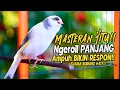 Download Lagu SUARA BURUNG |417| Kenari GACOR PANJANG INI Cocok untuk Masteran KENARI PAUD dan Kenari Macet BUNYI