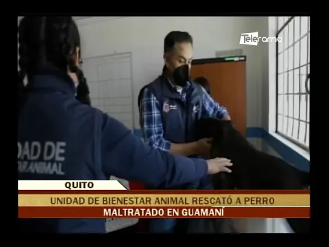 Desde la Mitad del Mundo 31-01-2023