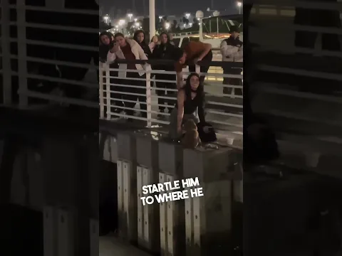 She took a risk to save a dog 👏