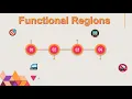 Perceptual vs Functional vs Formal Regions