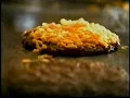 Whataburger - BBQ Cheddar Burger Returns 2010 USA