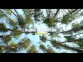 Download Lagu Dumi Mkokstad - Usibiyele (Official Lyric Video)