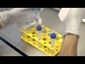 Sperm preparation by Vitrolife - short protocol