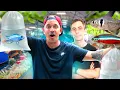 Download Lagu ON REMPLIT L'AQUARIUM DE MON COLOC AU PLUS GROS MARCHÉ DE POISSONS AU MONDE ! 🇹🇭🐟- TOOPET
