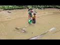 Download Lagu drain pond water to catch fish, and the unexpected things under the mud daily highland boy