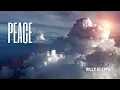 Download Lagu Peace | Goodbye to a Friend – Villy Kleppe