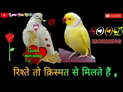 Download MP3 good morning my love !! New good morning Whatsapp status ! Good morning special! Love You Unlimited