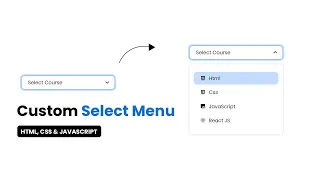 Custom Select Menu Box using HTML CSS and JAVASCRIPT