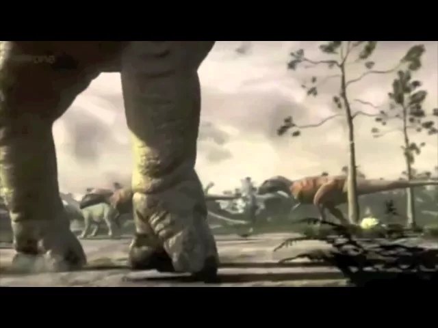background images