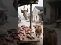 Baby Calf Crying for his Mother ๐ญ๐ #cow #cowvideos