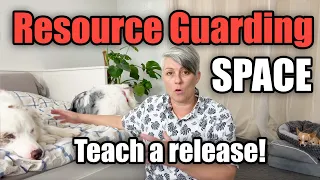 Resource guarding a bed? Train a release cue!