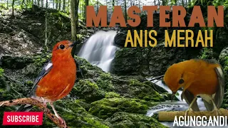 Download ANIS MERAH MACET PASTI BUNYI DAN BIRAHI STABIL DENGAR MASTERAN INI!!! MP3