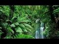 Download Lagu RVB - Jungle Terror Mix #4