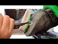 Download Lagu I PULLED a METAL SPIKE out of this foot!!!
