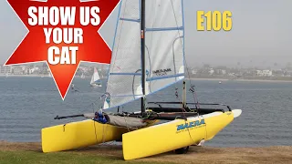 Show us your cat! Episode 106 USA