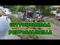Download Lagu Uittohommaa Peltosalmella