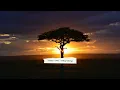 Daliwonga - Abo Mvelo ft Mellow and Sleazy