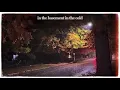 Fool’s Gold ~ S. Carey(slowed)